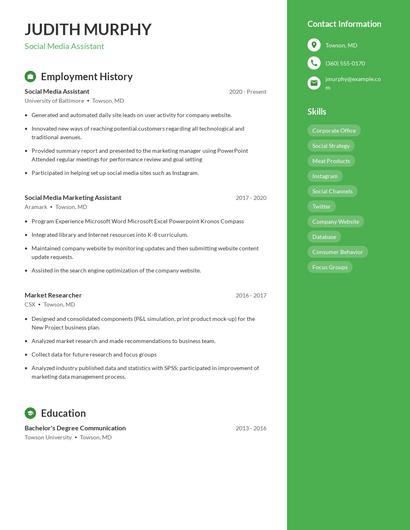 Resume example 5
