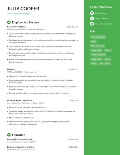 Social Work Professor Resume