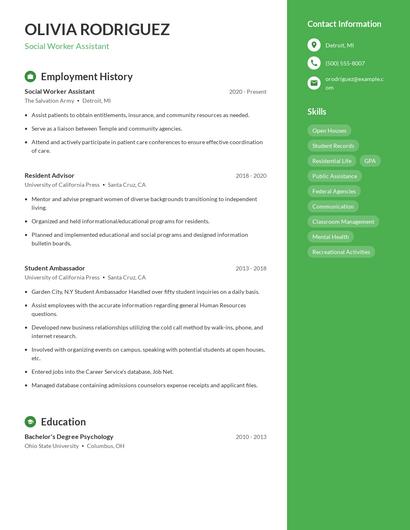 Resume example 5