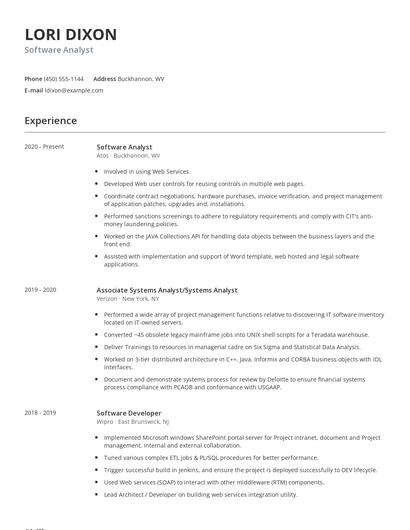Software Analyst Resume