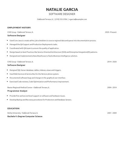 Software Designer Resume