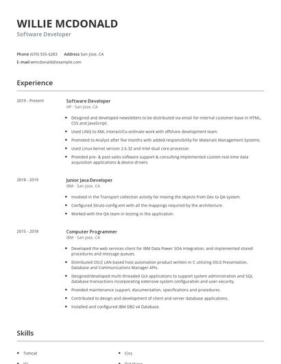 Software Developer Resume