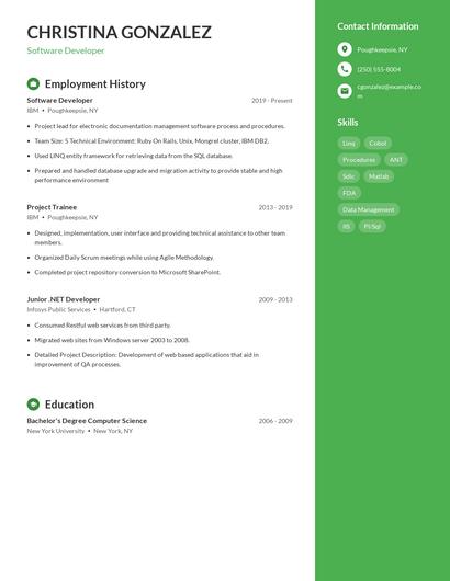 Software Developer Resume