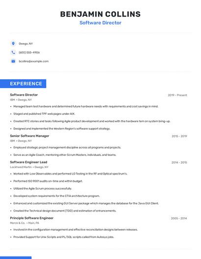 Software Director Resume