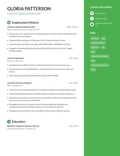 Resume example 5