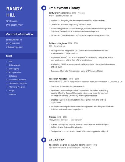 Resume example 4