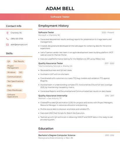 Resume example 3