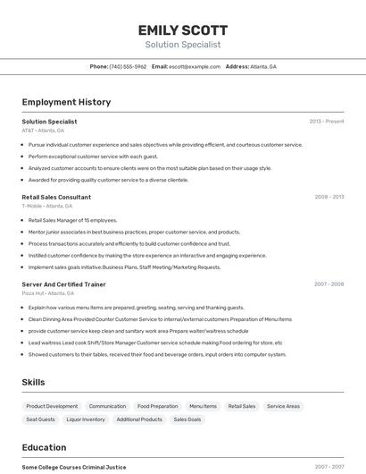 Resume example 2