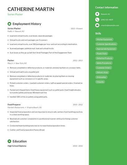 Resume example 4