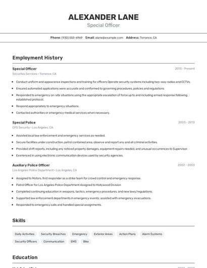 Special Officer Resume