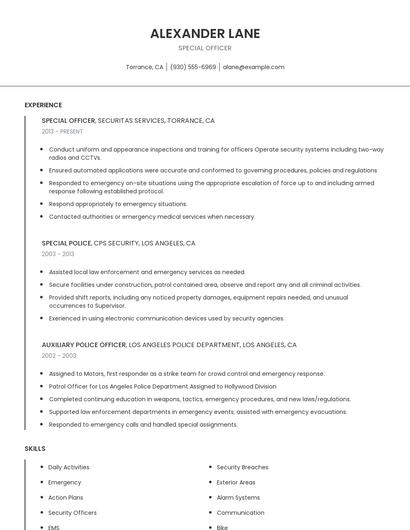 Special Officer Resume