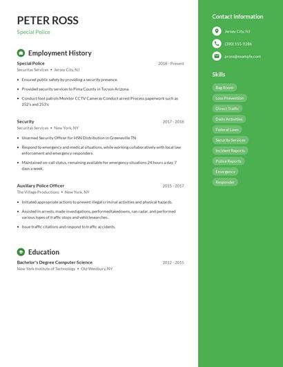 Resume example 4