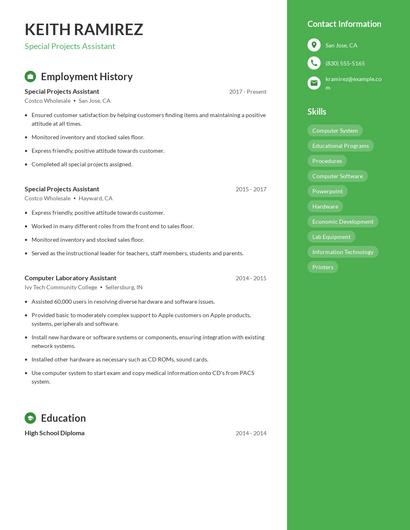 Resume example 4