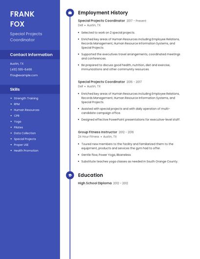 Resume example 5