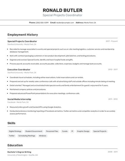 Resume example 2