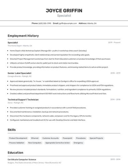 Resume example 2