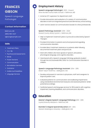 Resume example 5