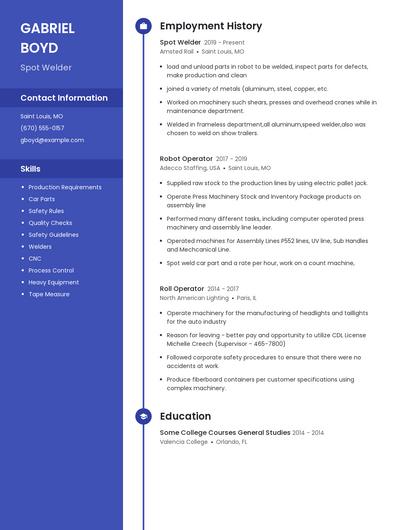 Resume example 4