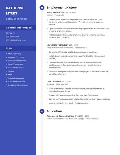 Resume example 4