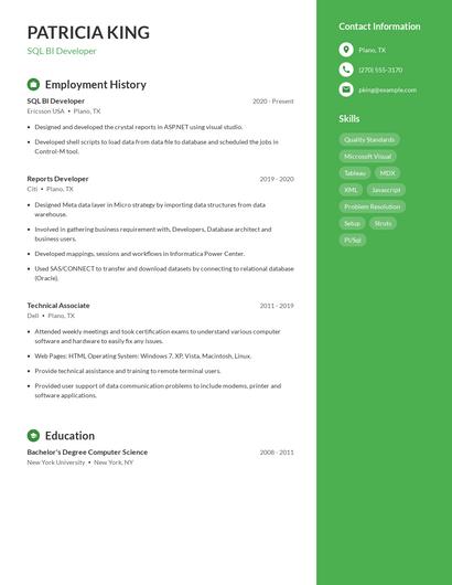 Resume example 4
