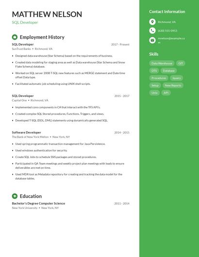 Resume example 4