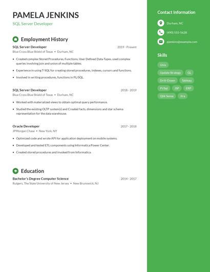 Resume example 4