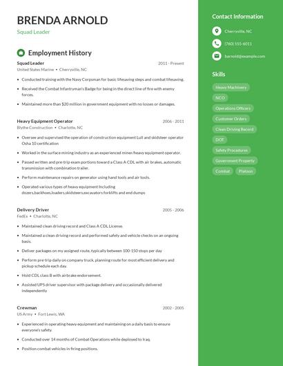 Resume example 4