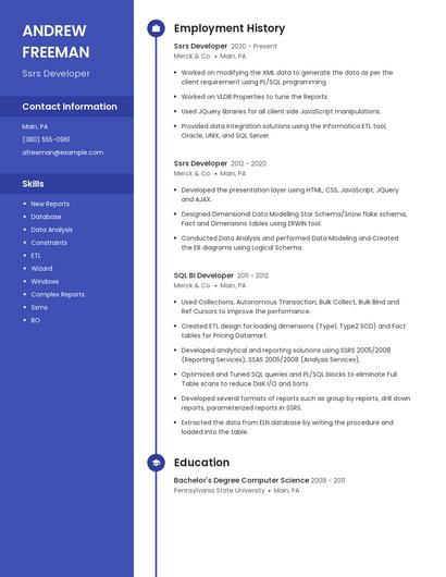 Ssrs Developer Resume