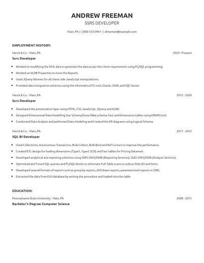 Ssrs Developer Resume