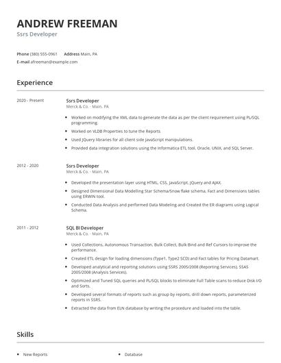 Ssrs Developer Resume