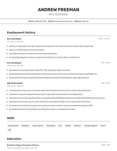 Ssrs Developer Resume