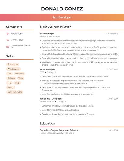 Ssrs Developer Resume