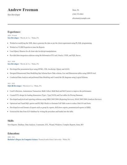 Ssrs Developer Resume