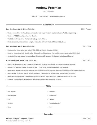 Ssrs Developer Resume