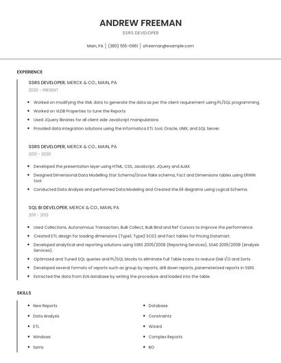 Ssrs Developer Resume