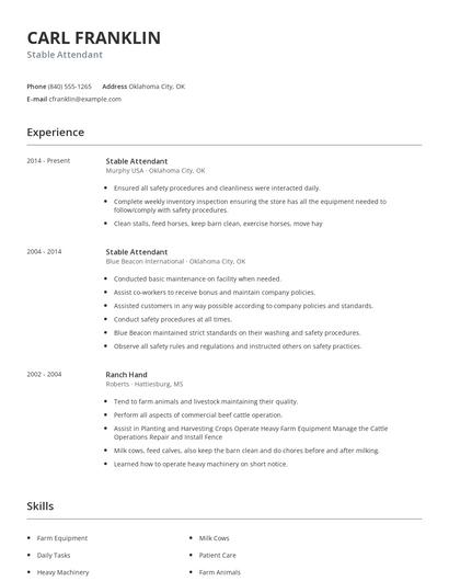 Stable Attendant Resume