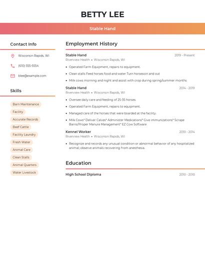 Resume example 3