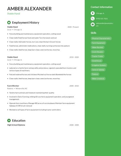 Resume example 5