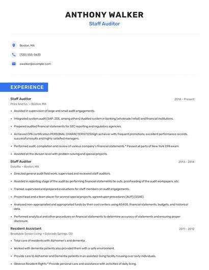 Staff Auditor Resume
