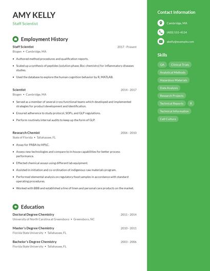 Resume example 4