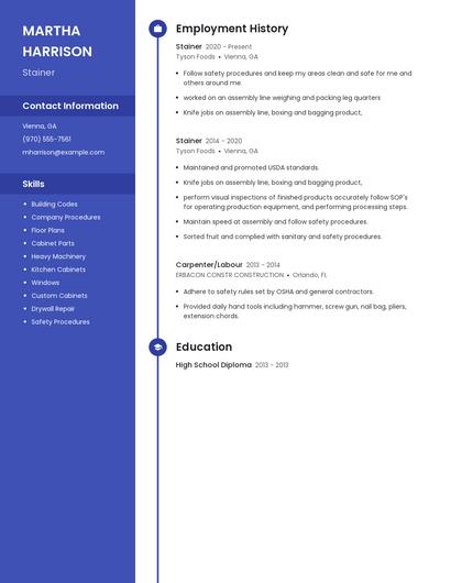 Stainer Resume