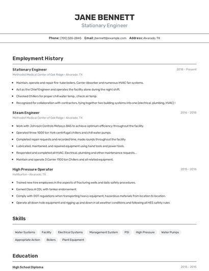 Resume example 2