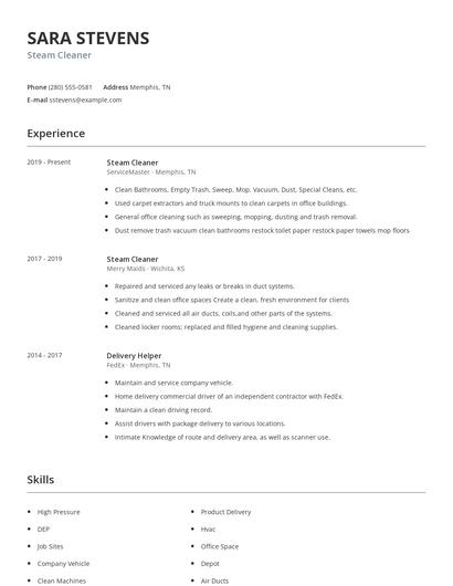 Steam Cleaner Resume