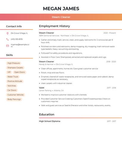 Steam Cleaner Resume