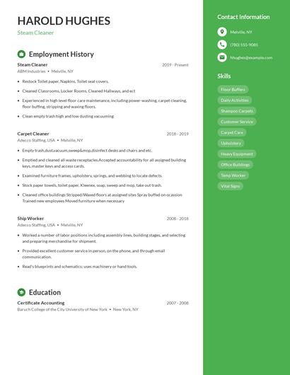 Steam Cleaner Resume