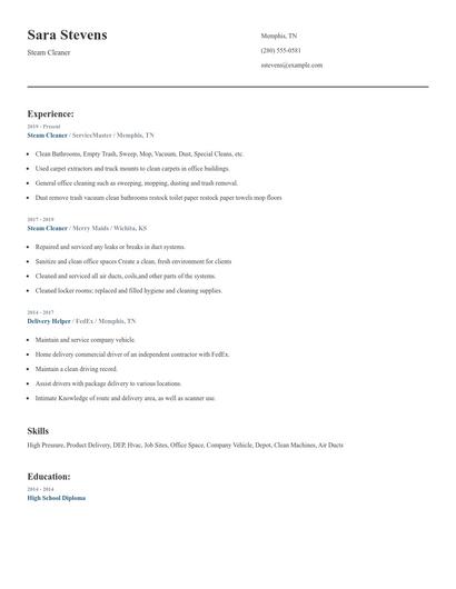 Steam Cleaner Resume