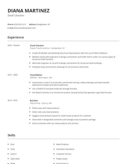 Steel Checker Resume