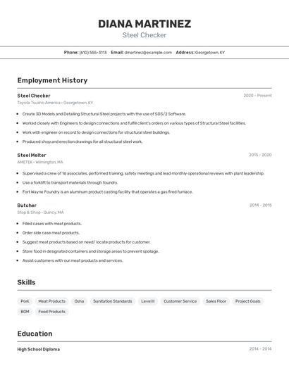 Steel Checker Resume