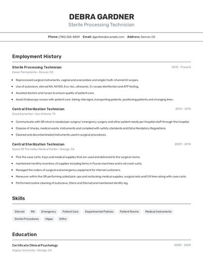 Resume example 2