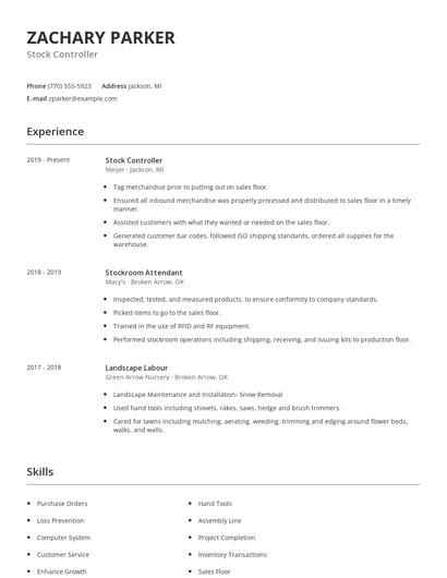Stock Controller Resume